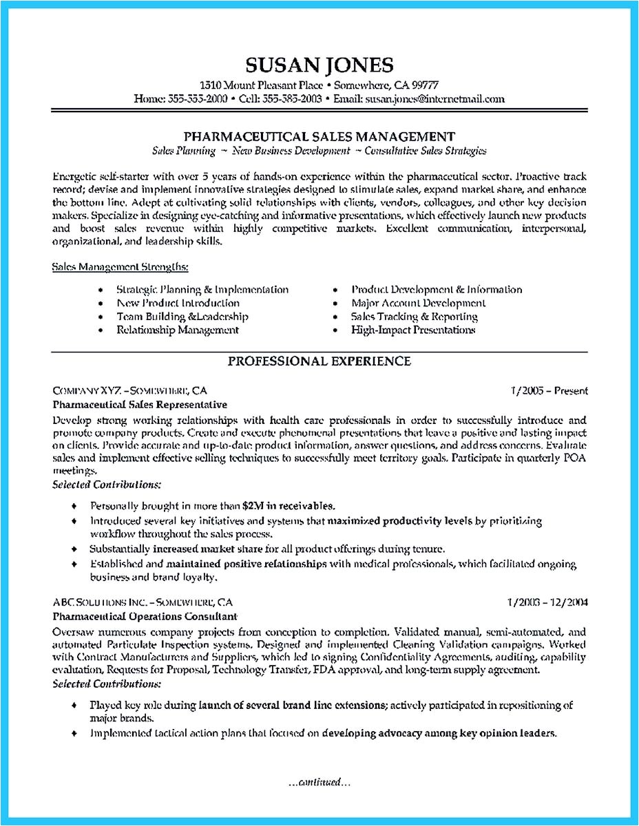 Area Of Expertise Resume Sample Resume Words for Sales Position