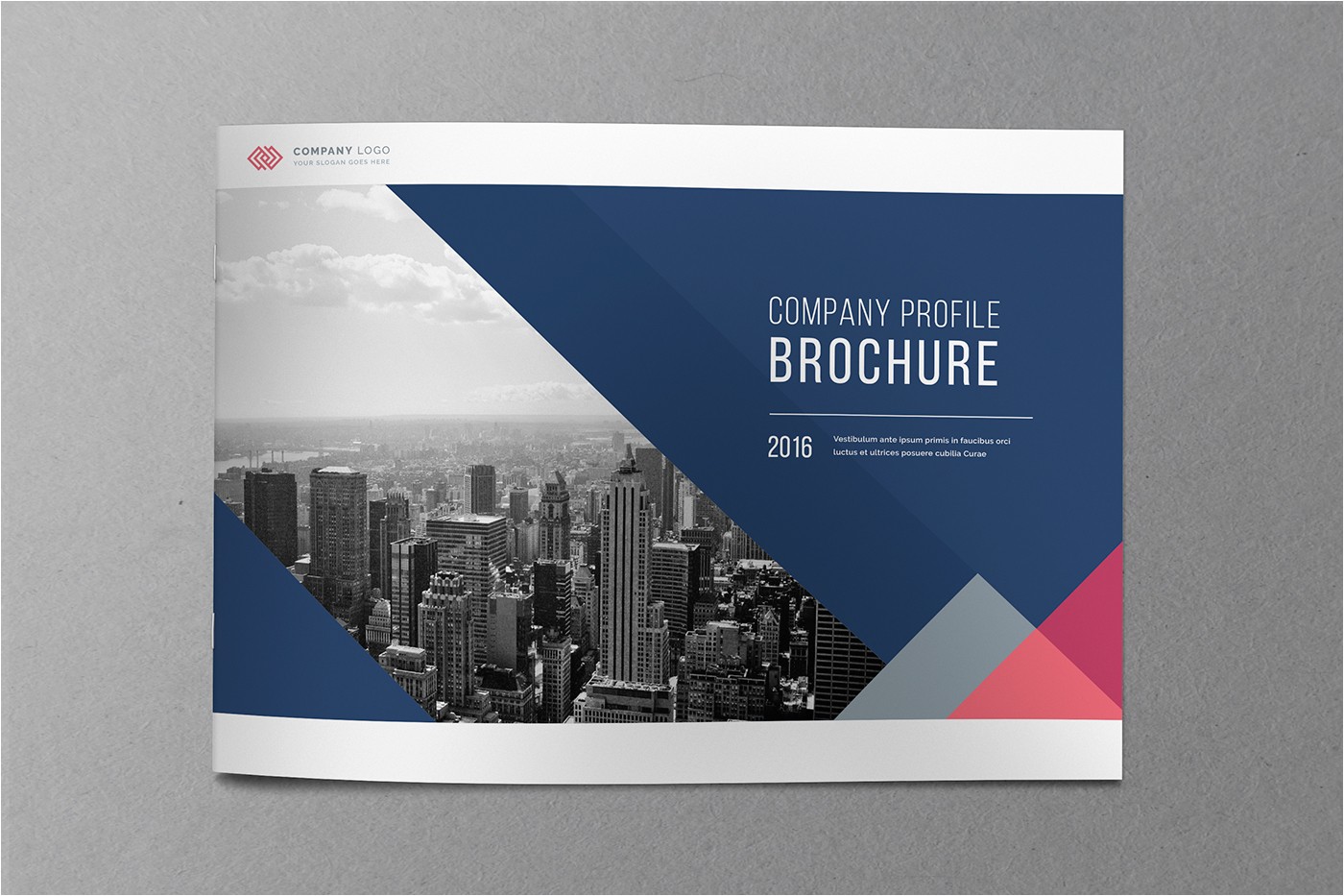 Brochure Templates for It Company 20 Financial Brochures Psd Vector Eps Jpg Download