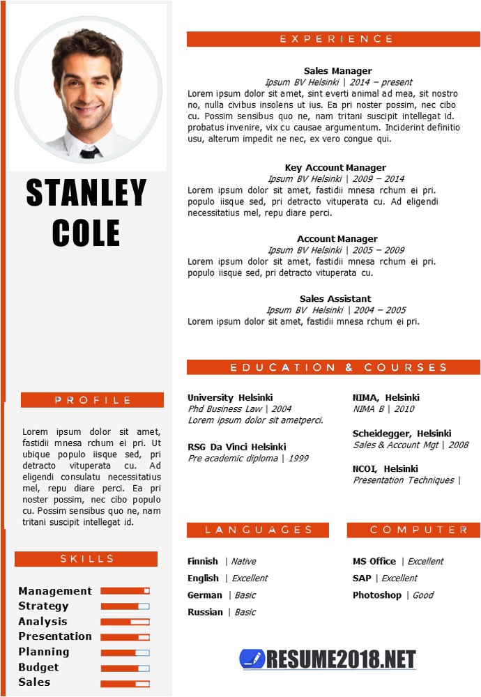 Combination Resume Template 2018 Combination Resume format 2018 Resume 2018