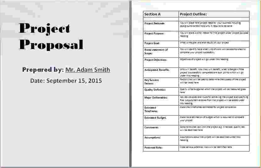8 project proposal template word