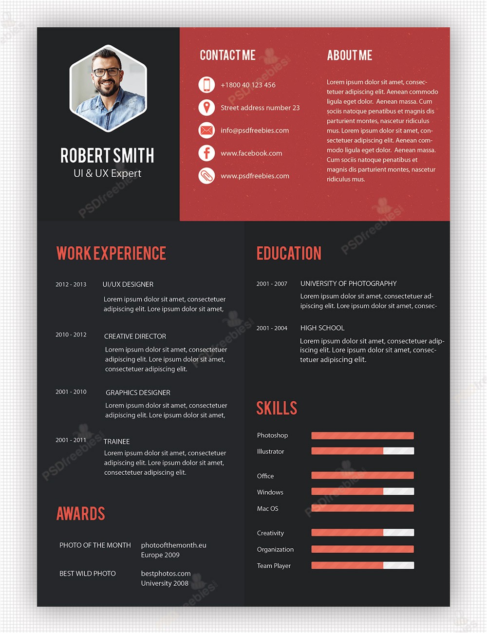 Creative Professional Resume Templates 1 Creative Professional Resume Templates Creative Professional Resume Template Free Psd