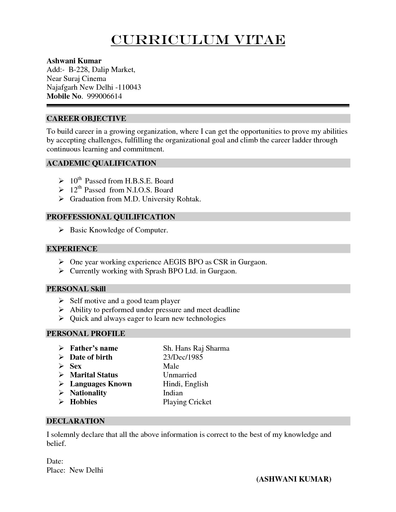 examples curriculum vitae template