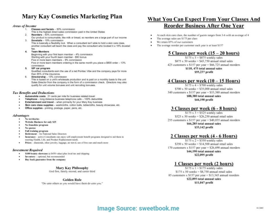sales business plan template ppt 13 plans puter support sample pdf 168