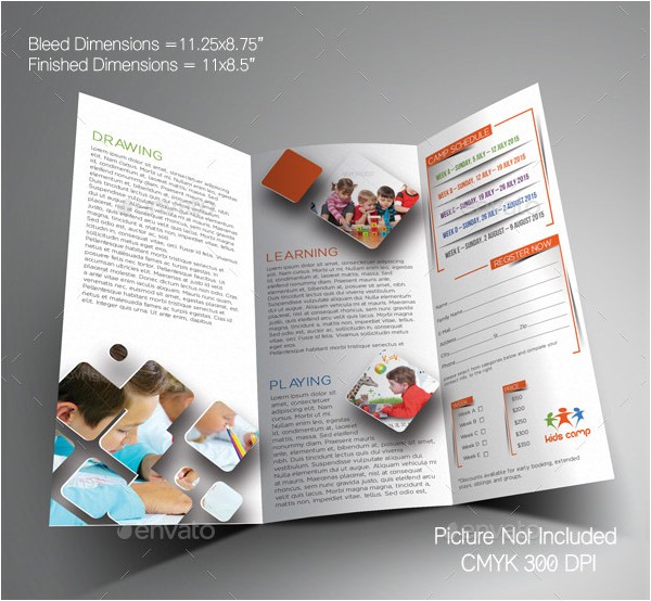 Elementary School Brochure Template 20 School Brochures Template