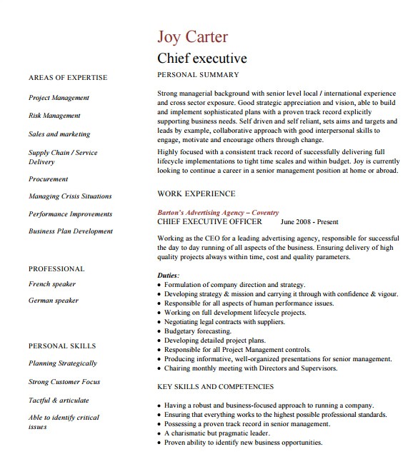 Executive Style Resume Template 14 Executive Resume Templates Pdf Doc Free Premium
