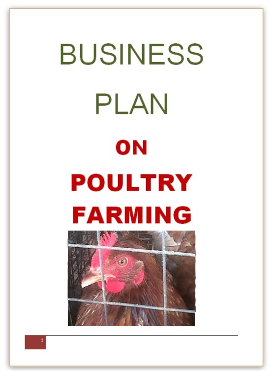 business plan for broiler chicken farm pdf
