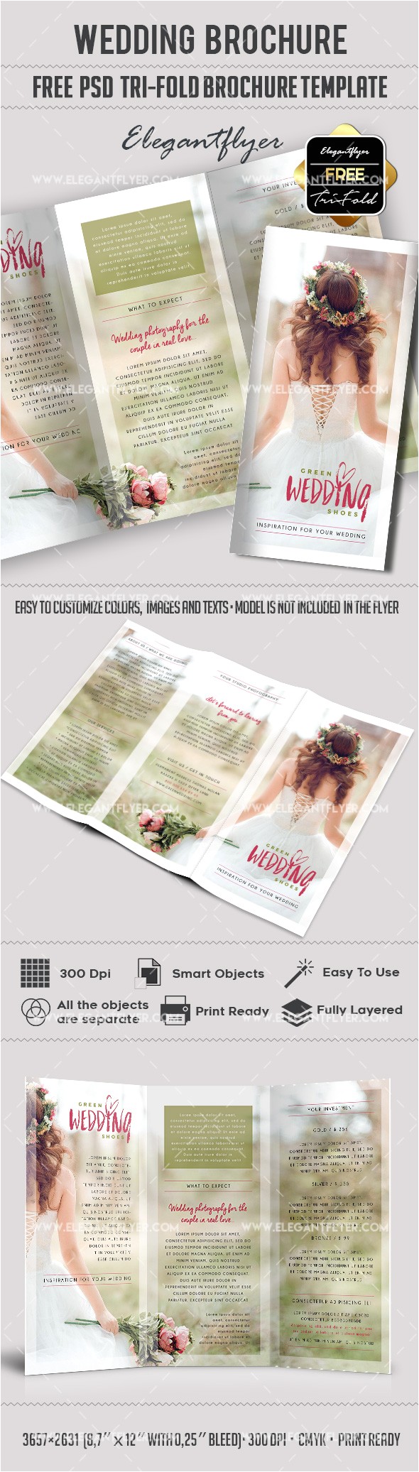 Free Tri Fold Wedding Brochure Templates Wedding Free Tri Fold Psd Brochure Template by
