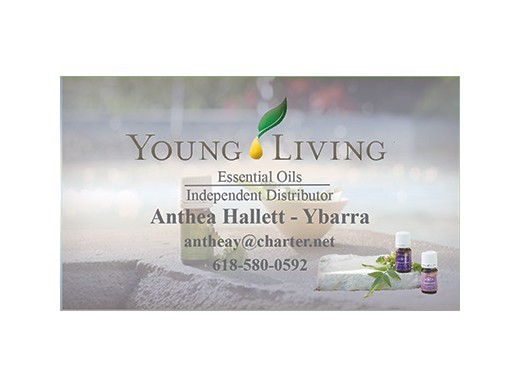 young living business card templates 1655