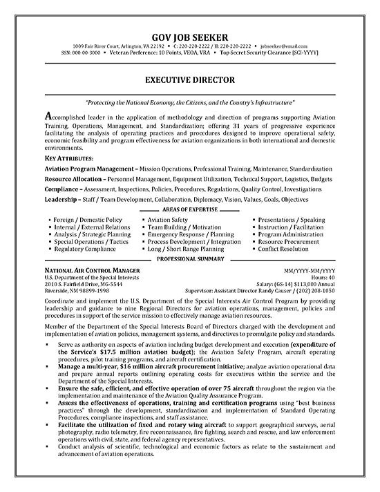 government resume example