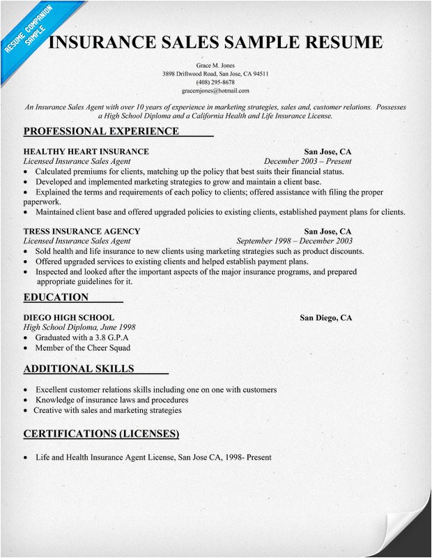 resume for insurance agent