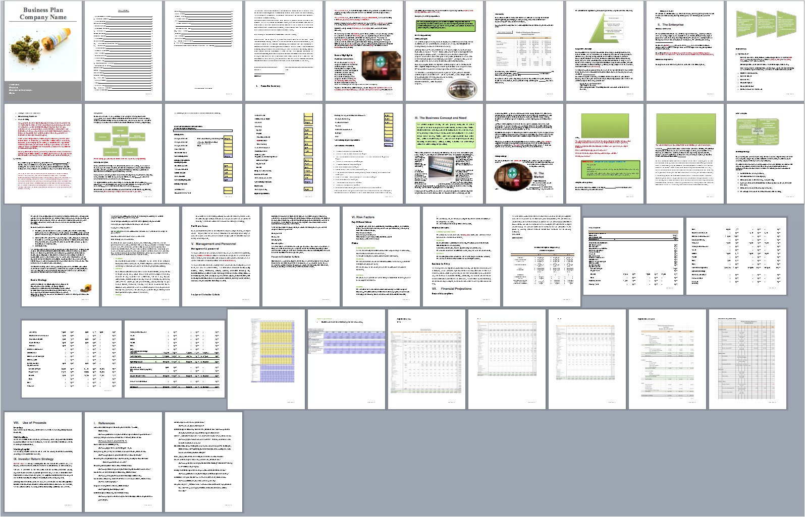 Medical Marijuana Business Plan Template Medical Marijuana Dispensary Business Plan Template