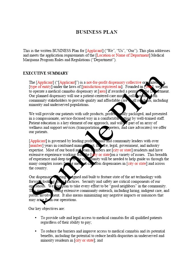business plan sample