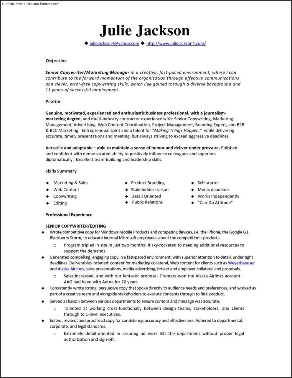 Monster Resume Samples 1 Monster Resume Samples Monster Resume Template Free Samples Examples format