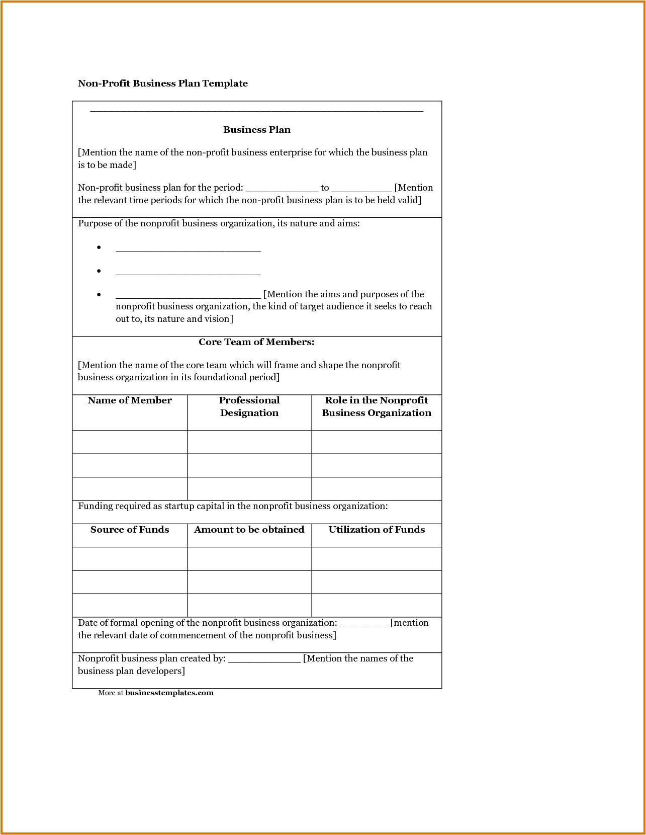Not for Profit Business Plan Template williamsonga.us