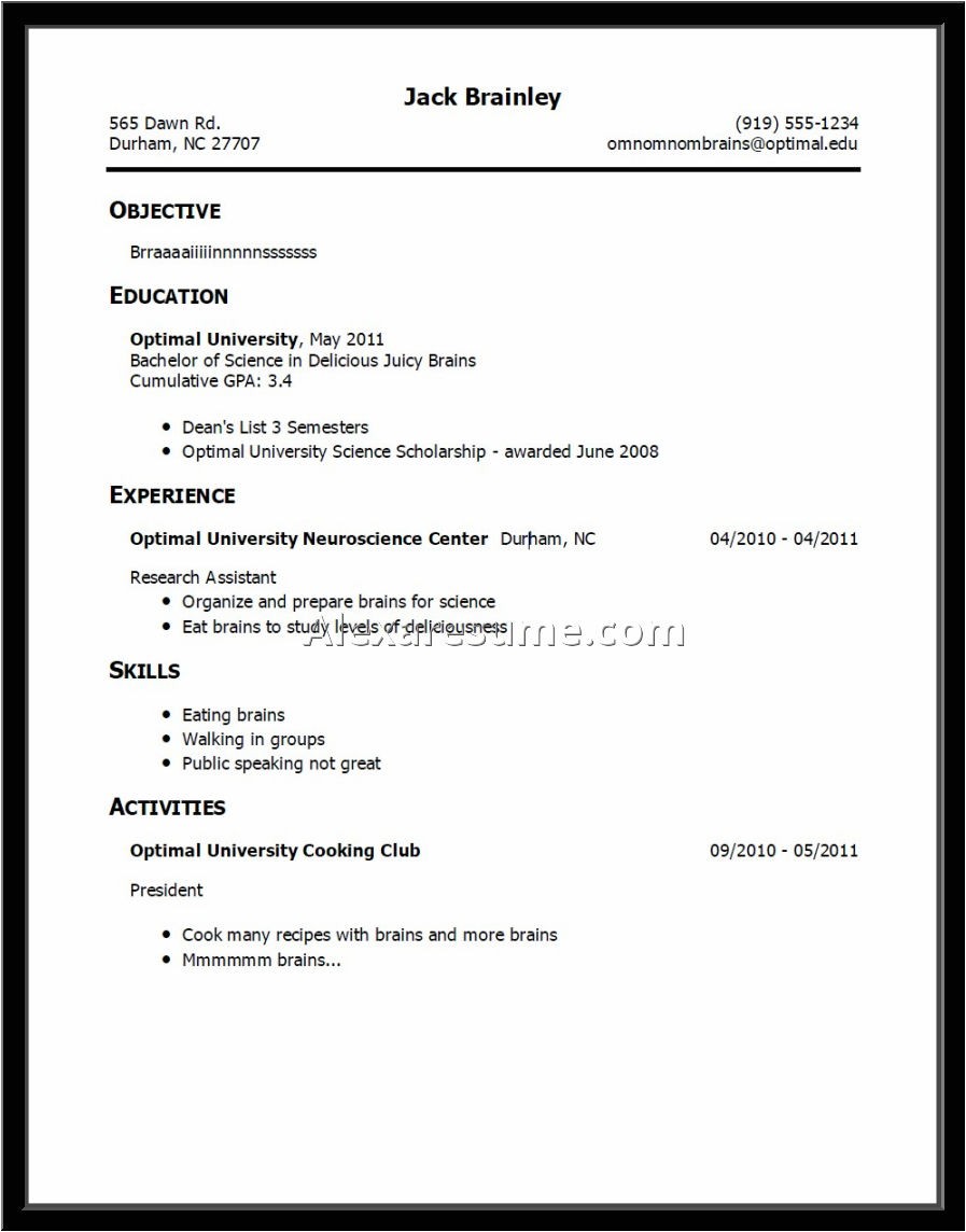 experience resume template
