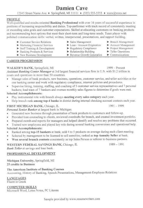 resume profile examples