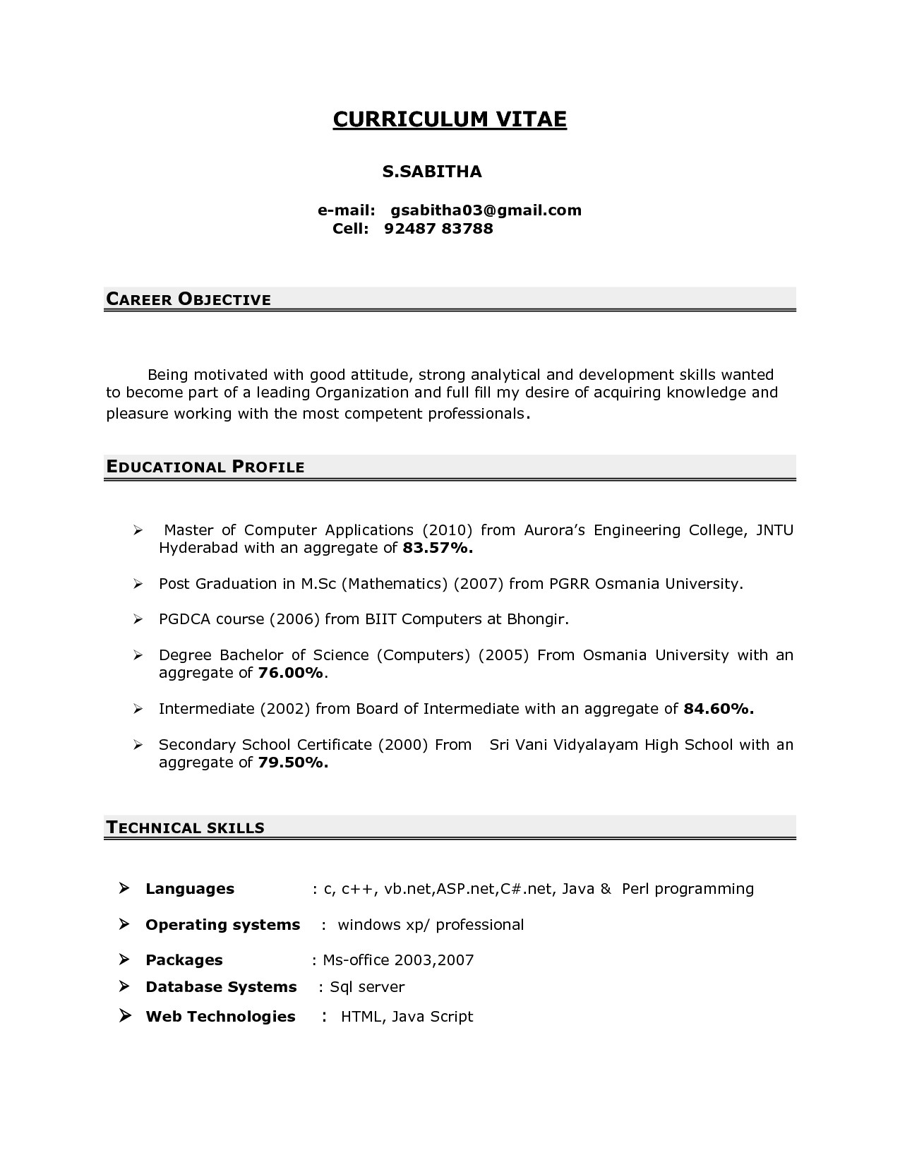 resume summary samples for it professionals