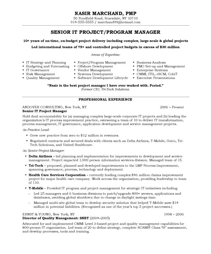 project management resume