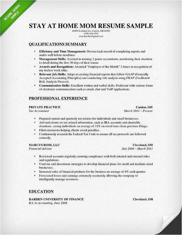 stay at home mom resume example
