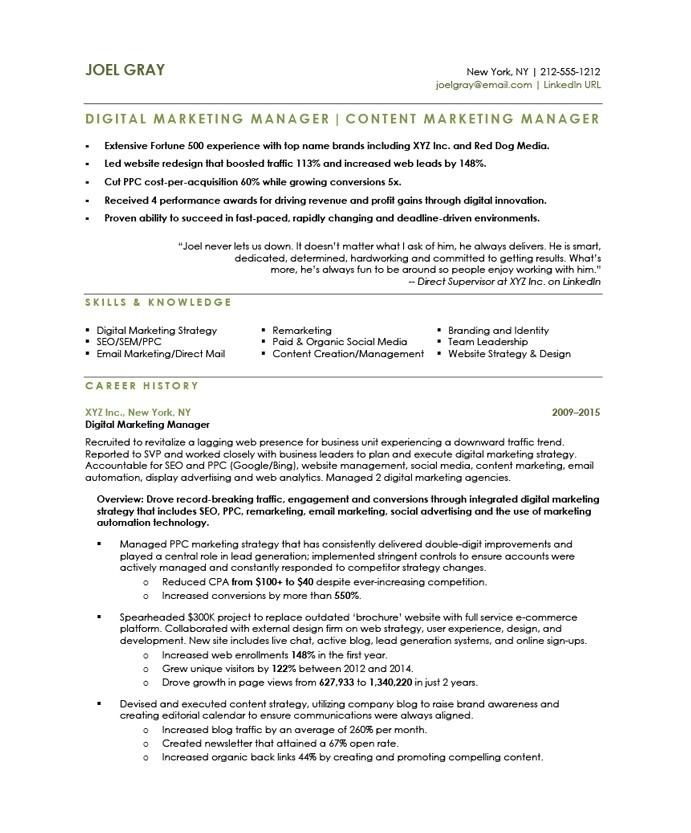 Sample Resume for Digital Marketing Manager Digital Marketing Manager Resume the Letter Sample