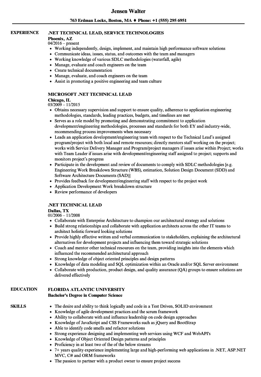 net technical lead resume sample