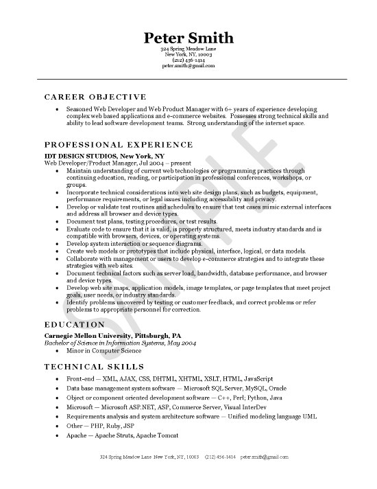 web developer resume example career objective professional experience
