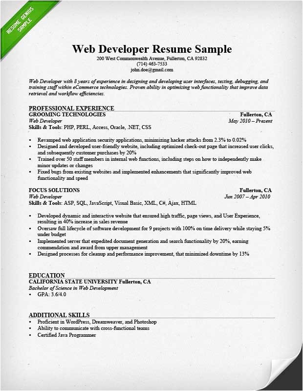 web developer resume example