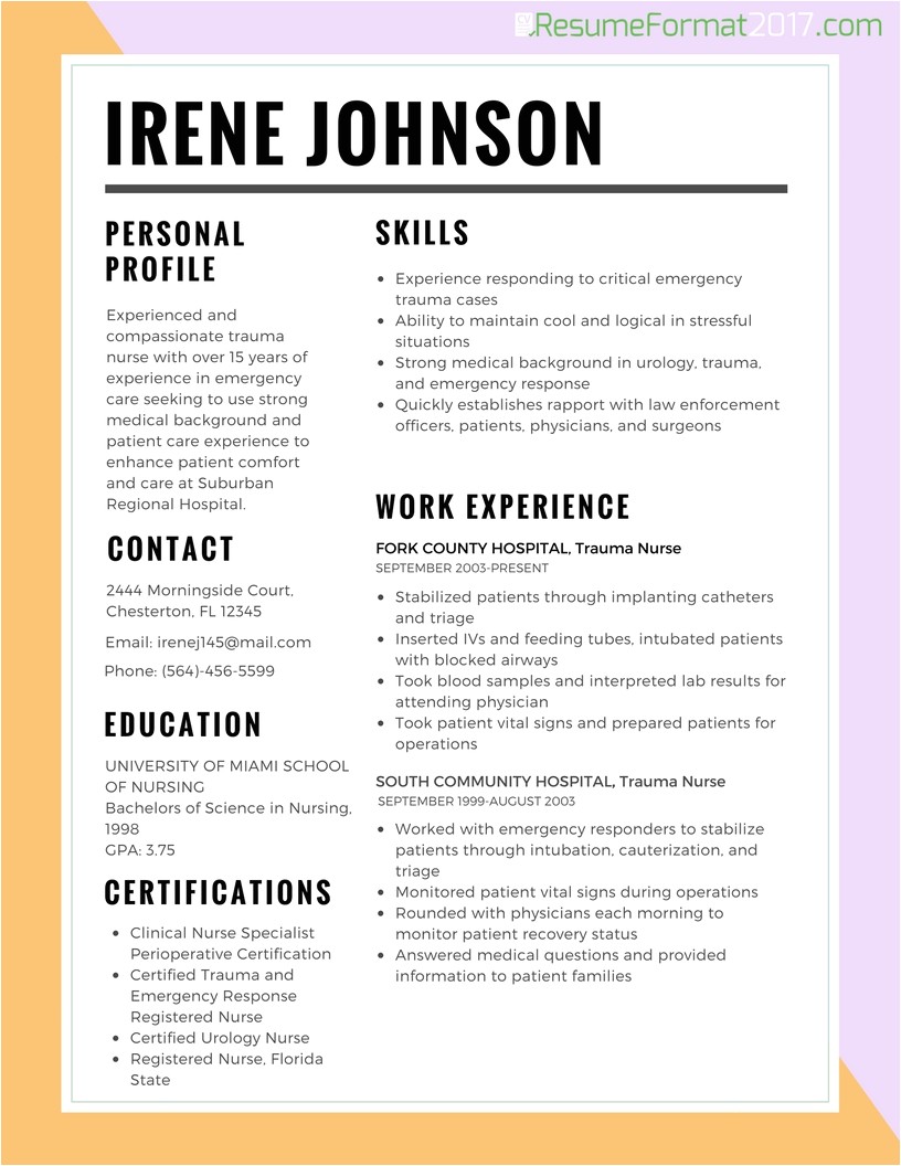 job resume template 2017