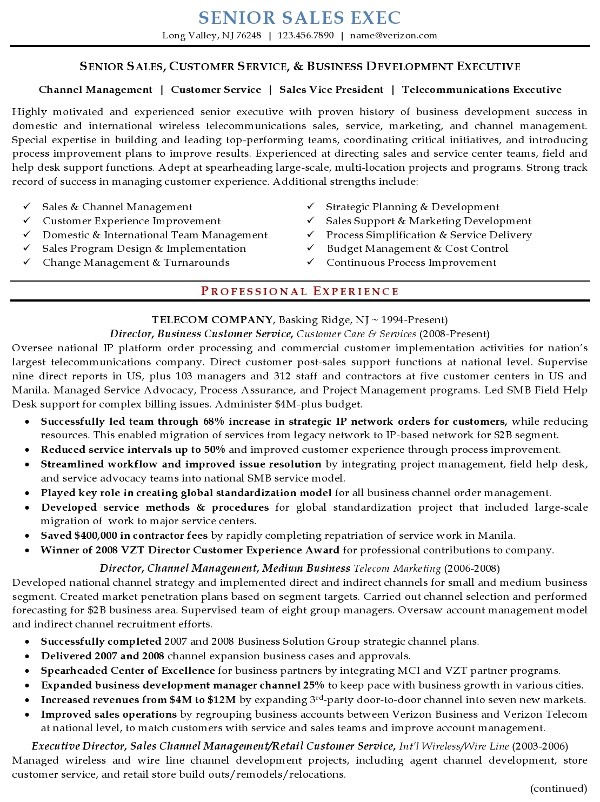 Senior Sales Manager Resume Sample Resume Sample 16 Senior Sales Executive Resume Career