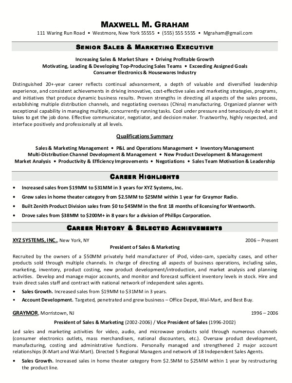 sample two senior sales marketing executive resume