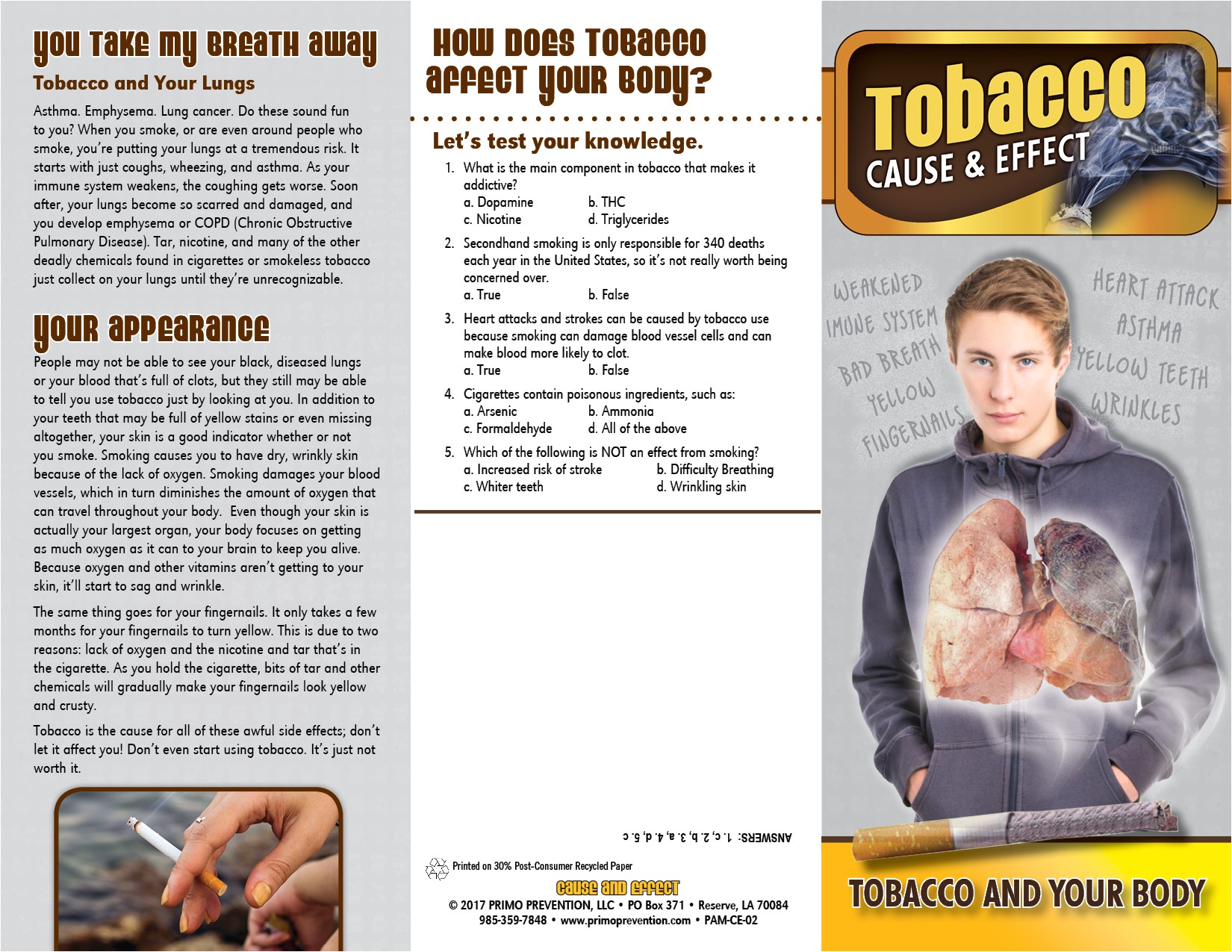 cause effect tobacco and the body pamphlet