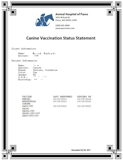 certificate 20of 20vaccination 20template 20for 20dogs
