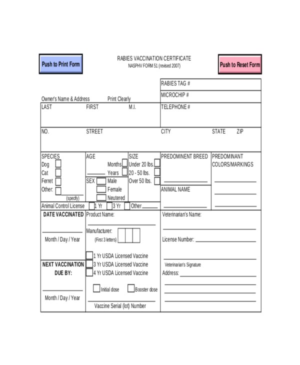 Dog Vaccination Certificate Template Certificate Of Vaccination Template for Dogs