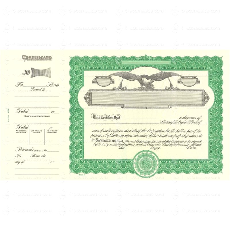 blank stock certificate template