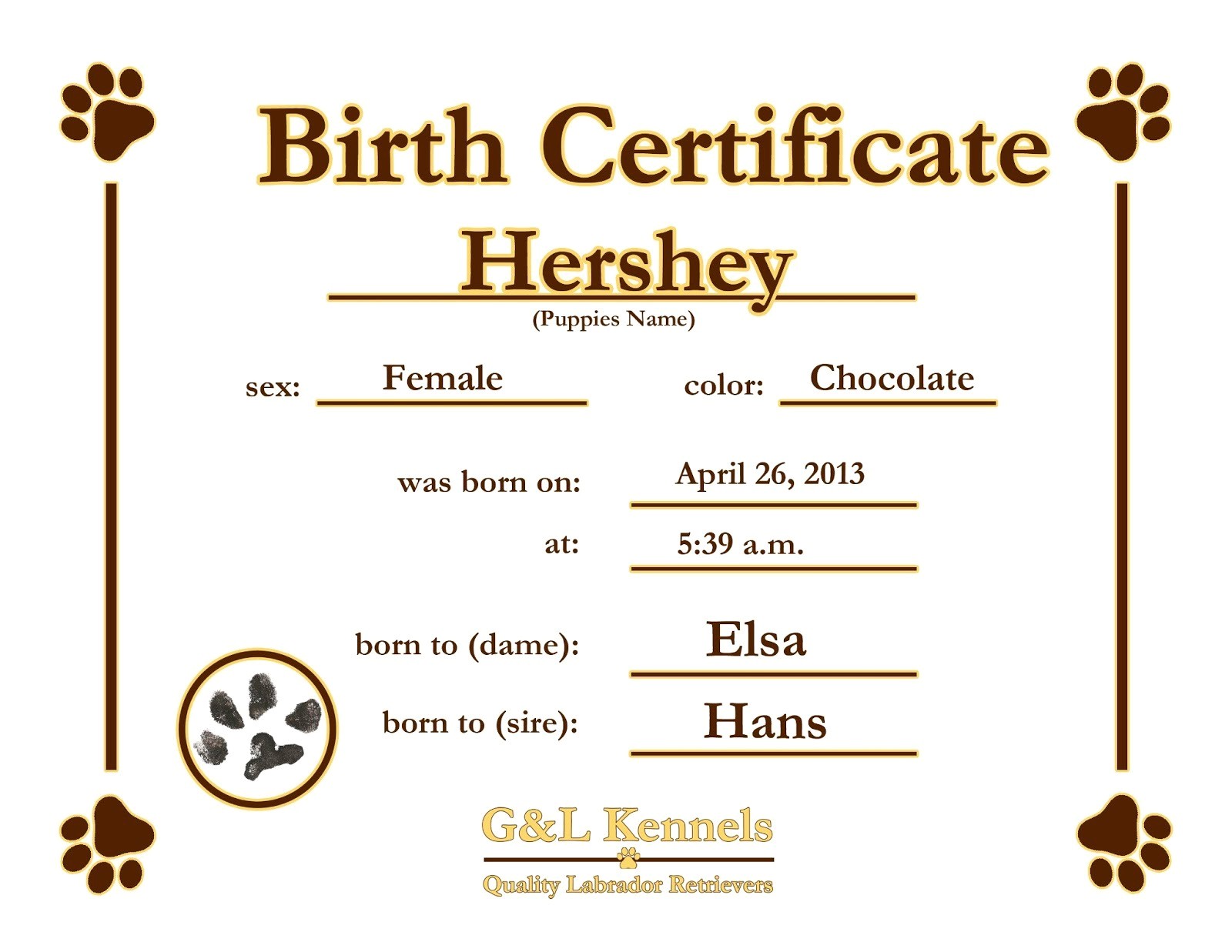 dog birth certificate template puppy certificates cjs certificates