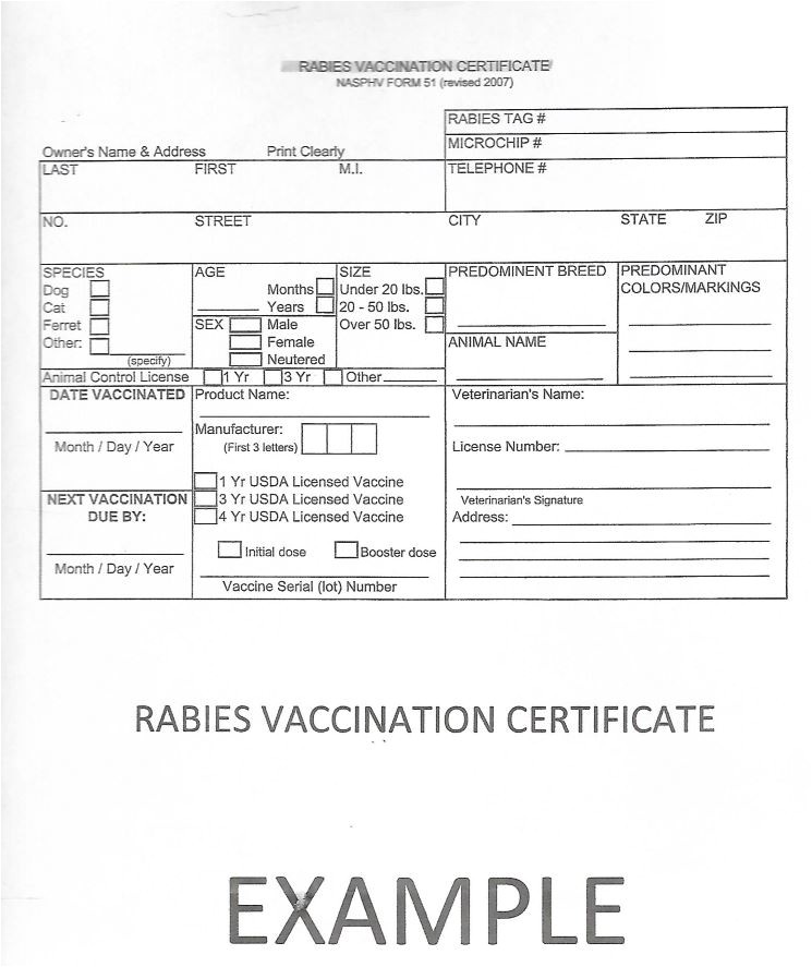 certificate of vaccination template