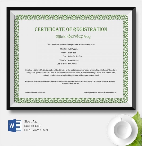 Service Dog Certificate Template 25 Certificate Templates Free Premium Templates