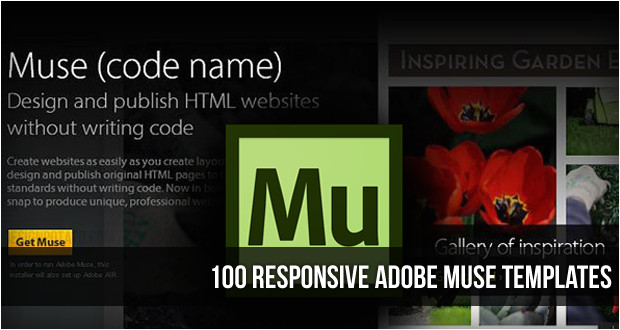 100 best responsive adobe muse templates