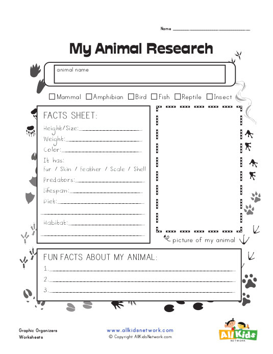 graphic organizer animal research
