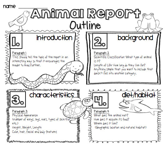 animal reports for older kids