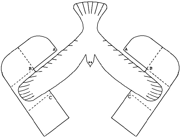 Balancing Bird Template Return to Instructions