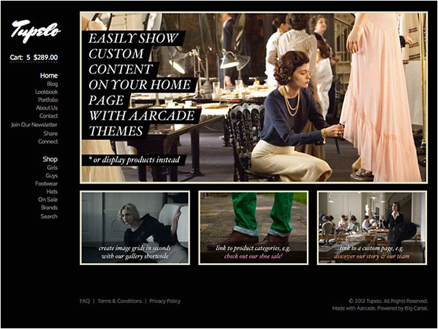 Big Cartel Design Templates Big Cartel Page Template Custom Home Aarcade