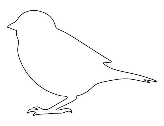 bird template