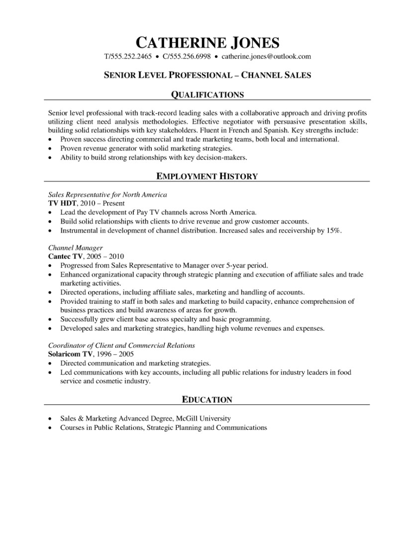 Channel Sales Manager Resume Sample Telecom Sales Resume Krida Info