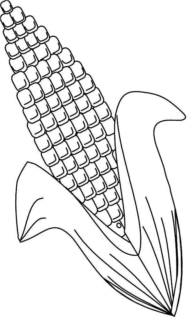 ear of corn template shtml