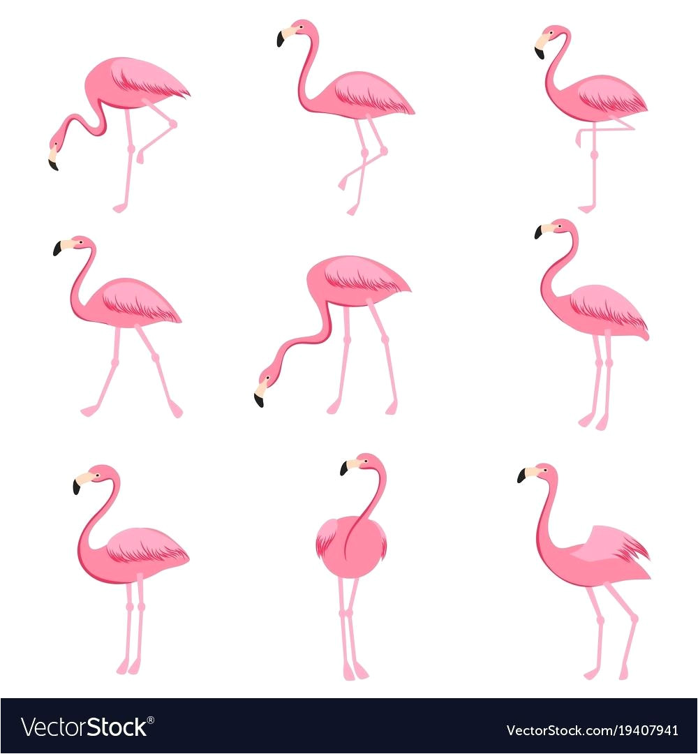 flamingo beak template