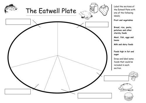 the eatwell plate 11124329