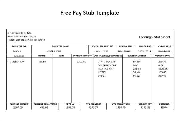 pay stub template