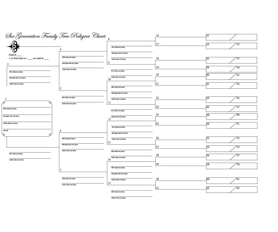 Geneology Templates 50 Free Family Tree Templates Word Excel Pdf