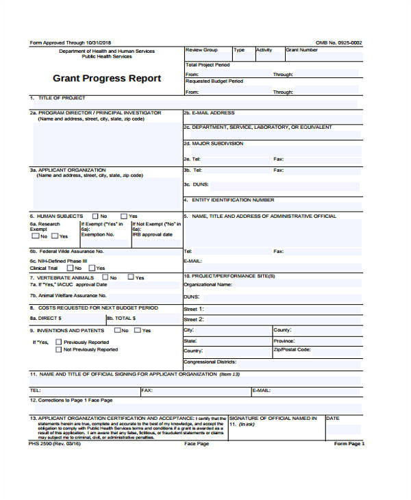 grant report template